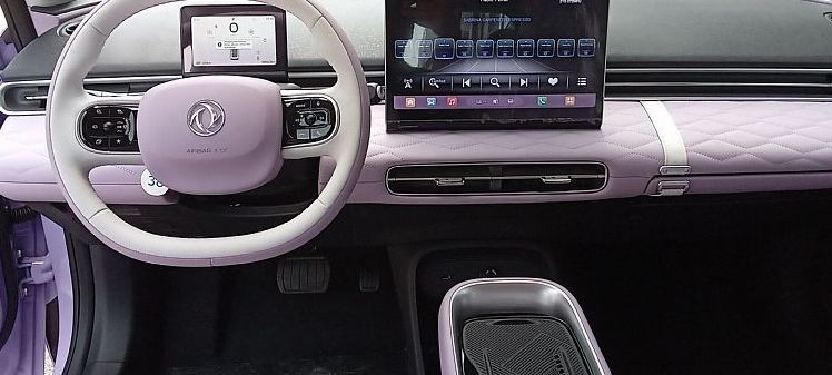 Zunanja slika - Dongfeng Box - PURPLE DESIRE - 9