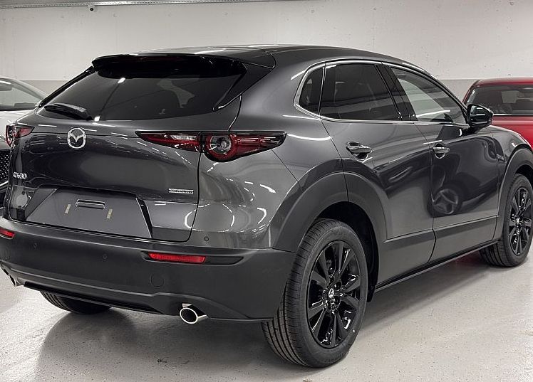 Zunanja slika - Mazda CX-30 - G140 NAGISA | AVTOMATIK | MEMORY | BOSE | ZALOGA - 5