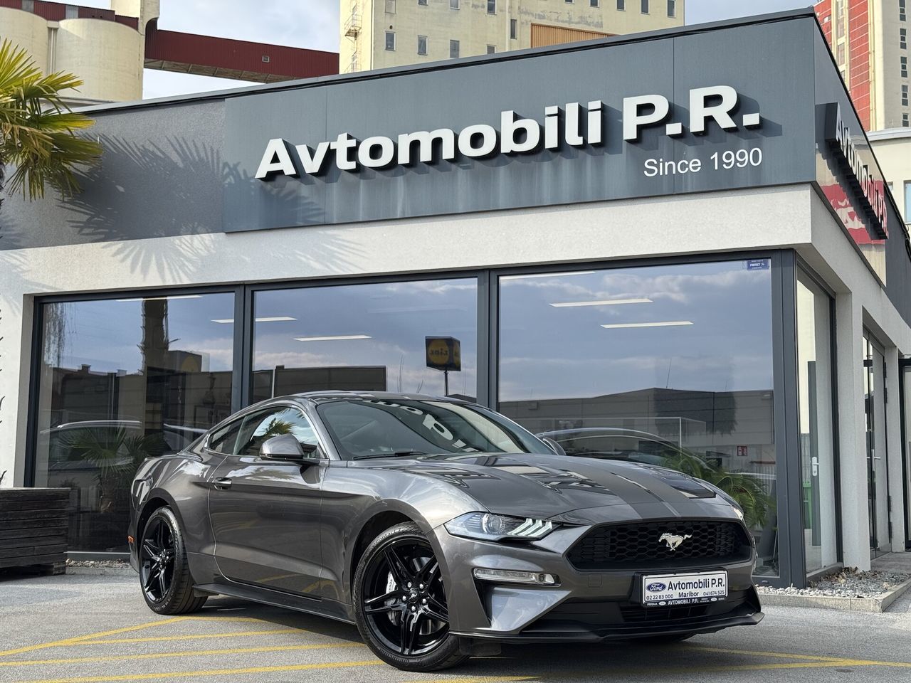 Zunanja slika - Ford Mustang - 2.3 EcoBoost 290KM AVT A10 SLO AKTIVNI TEMP. NAVI - 3