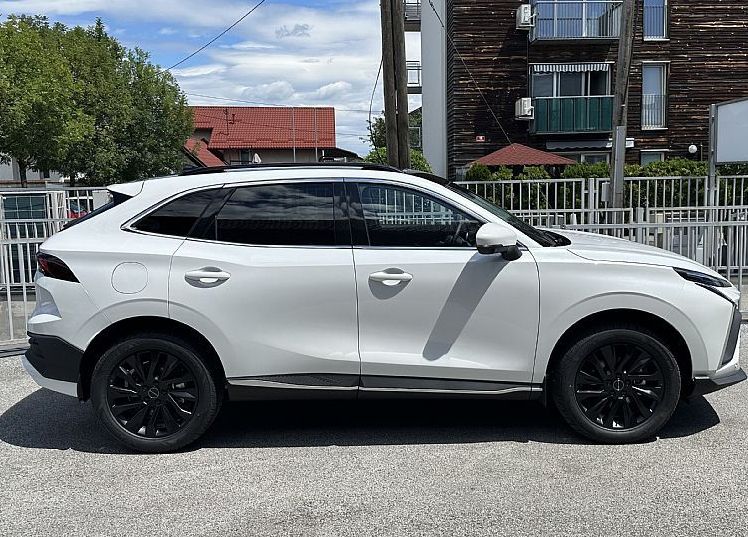 Zunanja slika - Forthing Forthing T5 EVO - T5 Evo ADAS - ZALOGA - 4