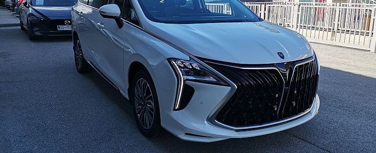 Zunanja slika - Forthing Forthing U Tour - U-Tour MY25 ADAS - NA ZALOGI - 3