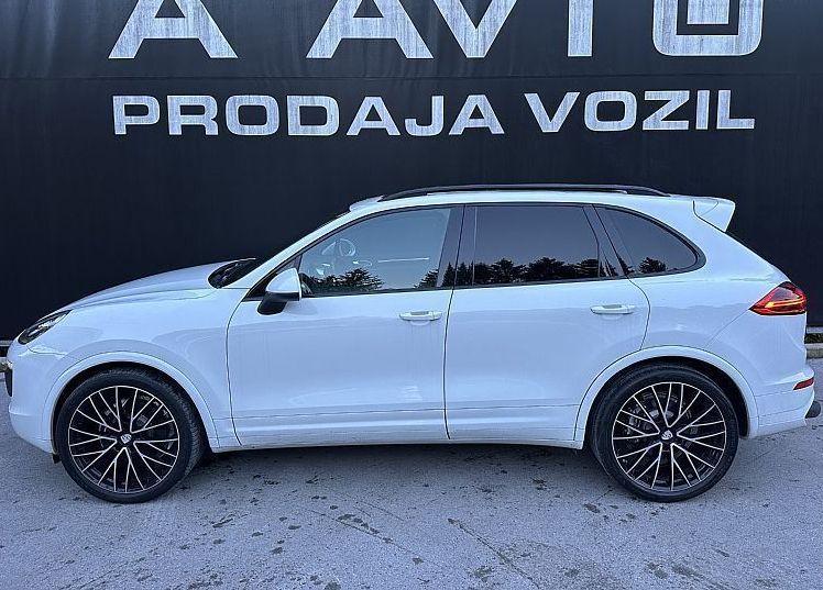 Zunanja slika - Porsche Cayenne - 3.0 TD Platinum Edition-22COL-BOSE-ZRAČNO-VK-PANO - 4