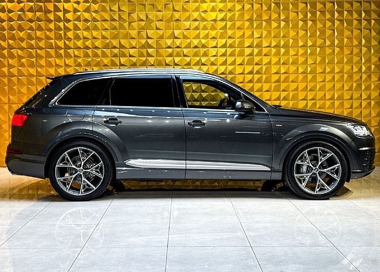 Zunanja slika - Audi Q7 - 3.0 TDI Quattro S Line-LED-ZRACNO-KLJUKA-KAMERA - 12