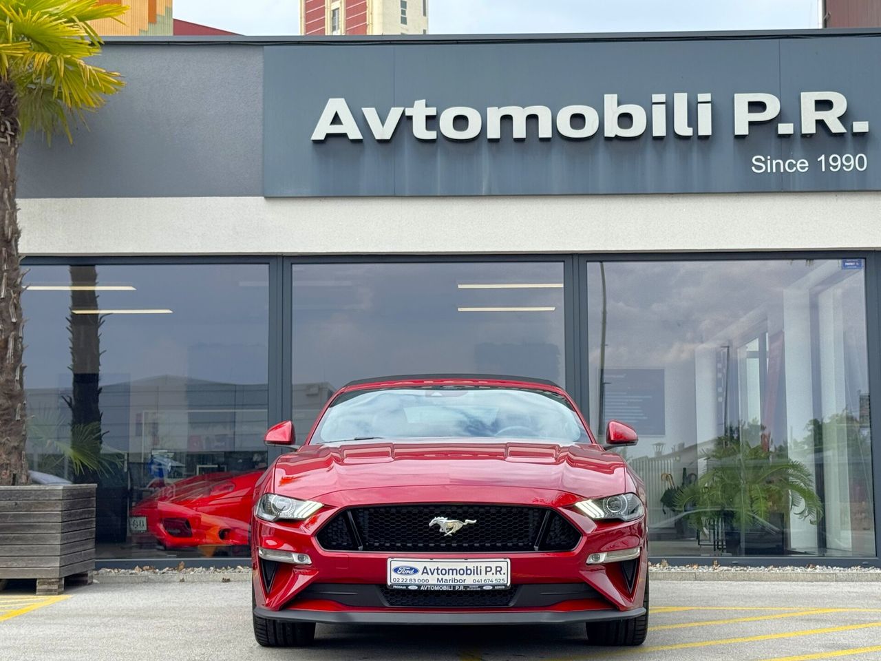 Zunanja slika - Ford Mustang - 5.0 V8 GT AVT CABRIO 449KM IZVEDBA 55 LET A - 2
