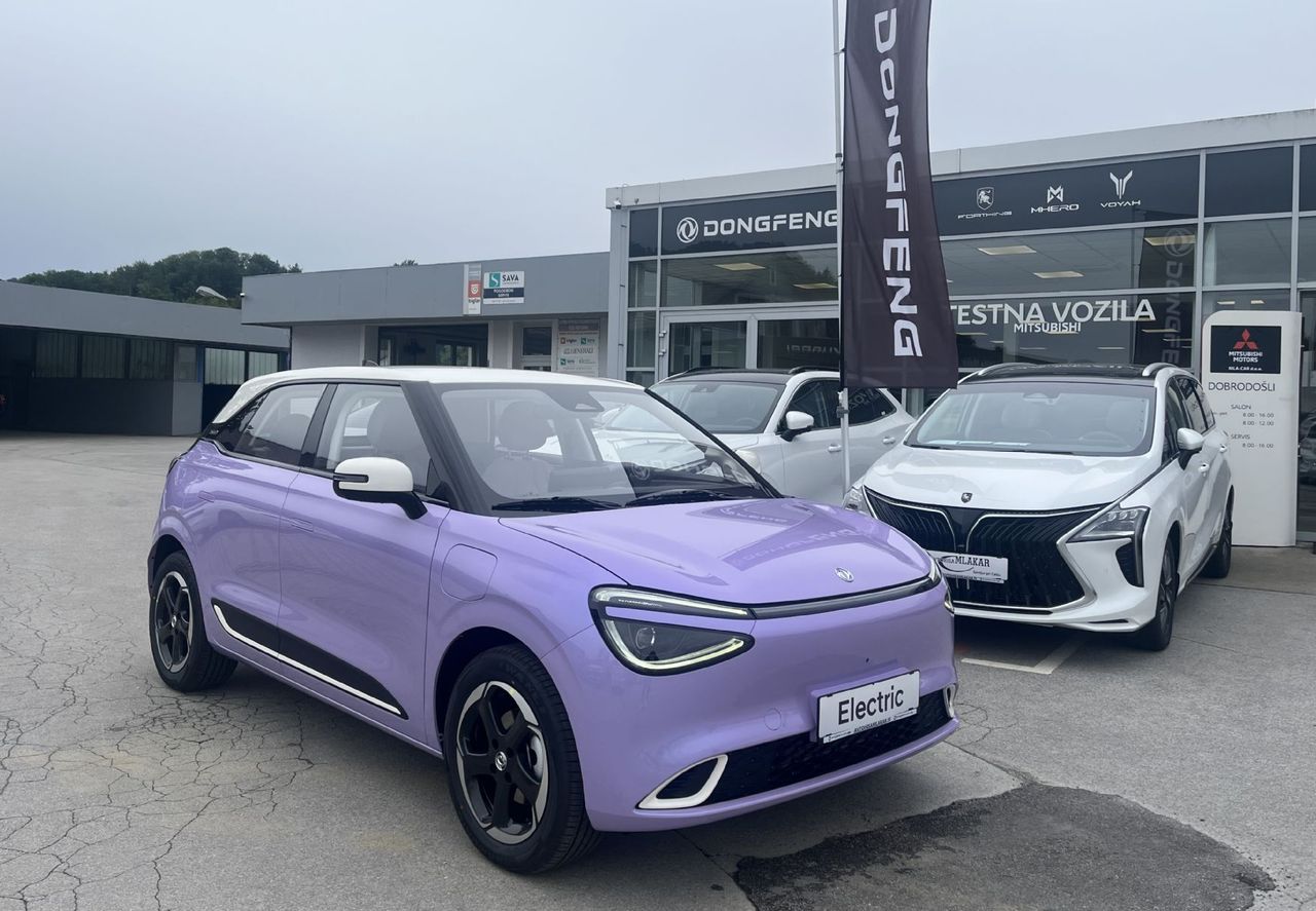 Zunanja slika - Dongfeng Box - 100  ELEKTRIČNO VOZILO - 1