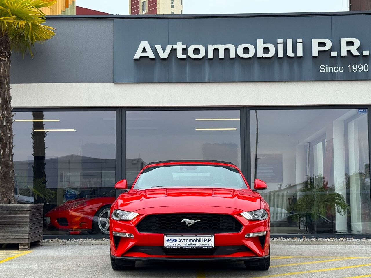 Zunanja slika - Ford Mustang - 2.3 EcoBoost 290KM AVT SLO samo 58.254 km ODLIČEN - 2