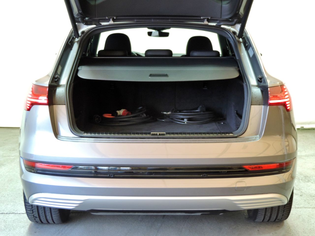 Zunanja slika - Audi e-tron - 55 quattro - 18