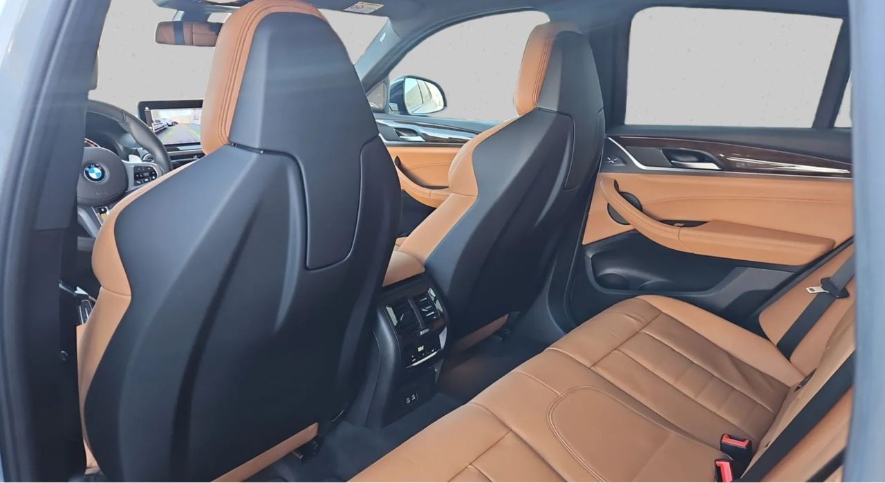 Zunanja slika - BMW X4 - serija : xDrive30d  AT - 15