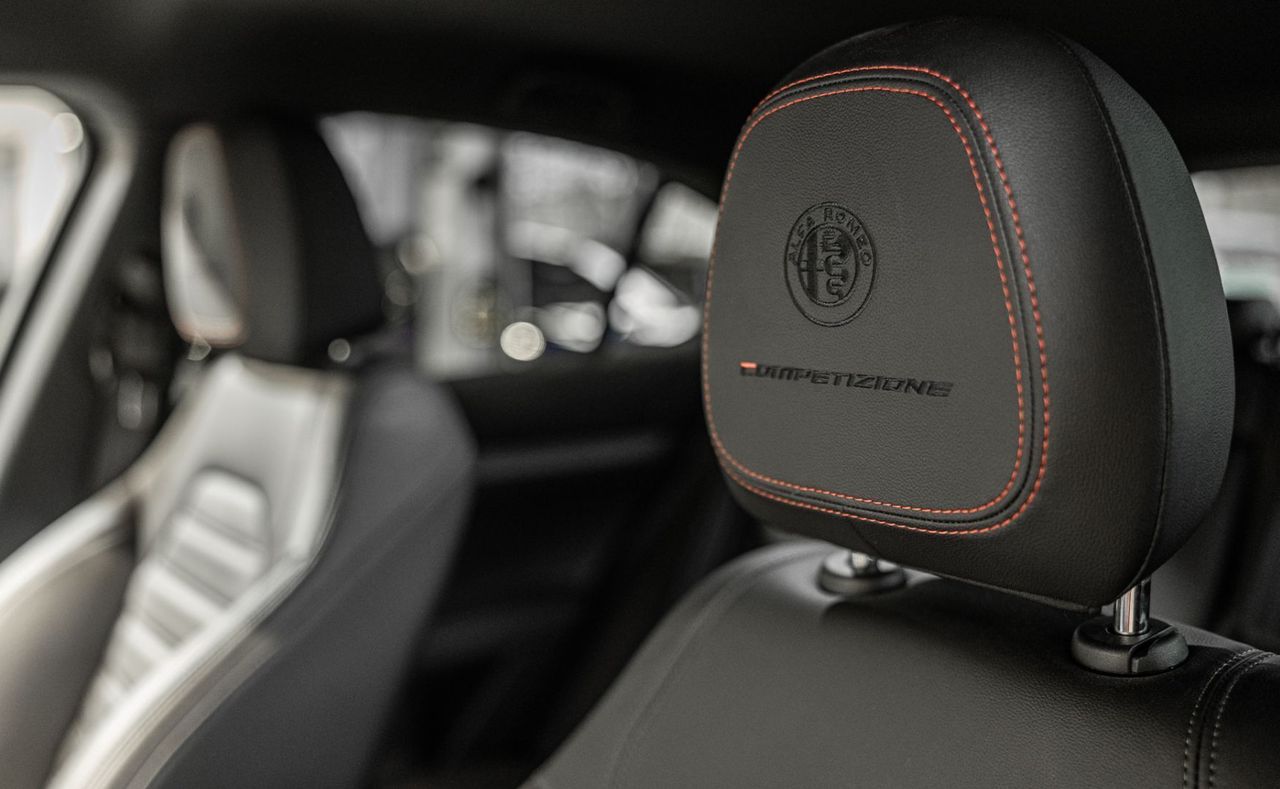 Zunanja slika - Alfa Romeo Stelvio - COMPETIZIONE-Q4-VIRTUAL-NAVI-KEYLESS-RADAR-HK-21C - 13