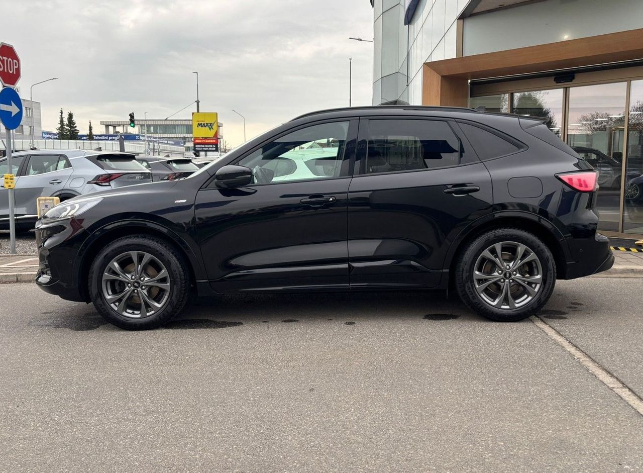 Zunanja slika - Ford Kuga - St-Line X 2.0 EcoBlue Auto KAMERA-SLO-GRETJE-1.LAS - 2