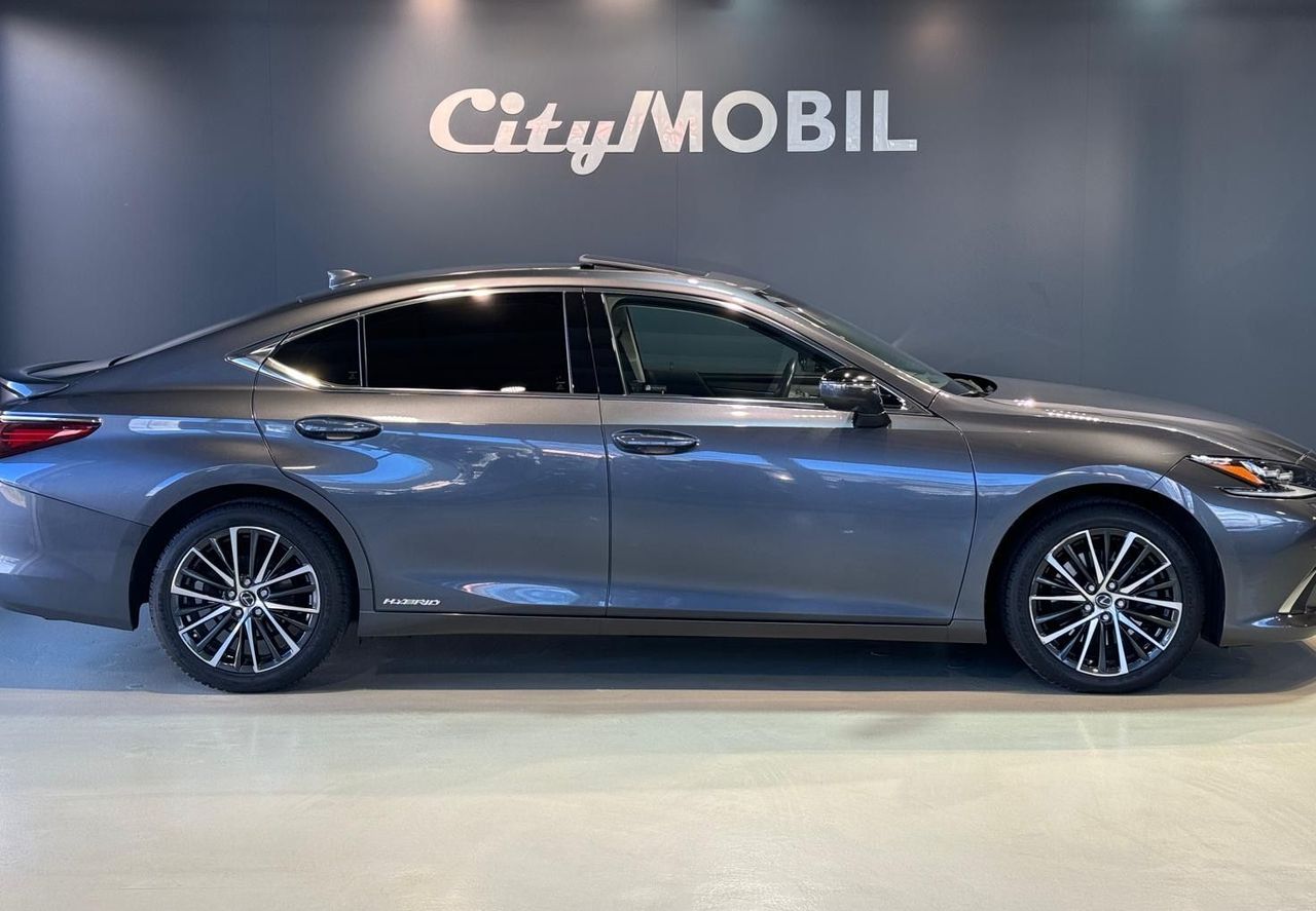 Zunanja slika - Lexus ES - 300H-EXECUTIVE-RADAR-HEADUP-MEMORY-USNJE-HLAJ.SED - 5