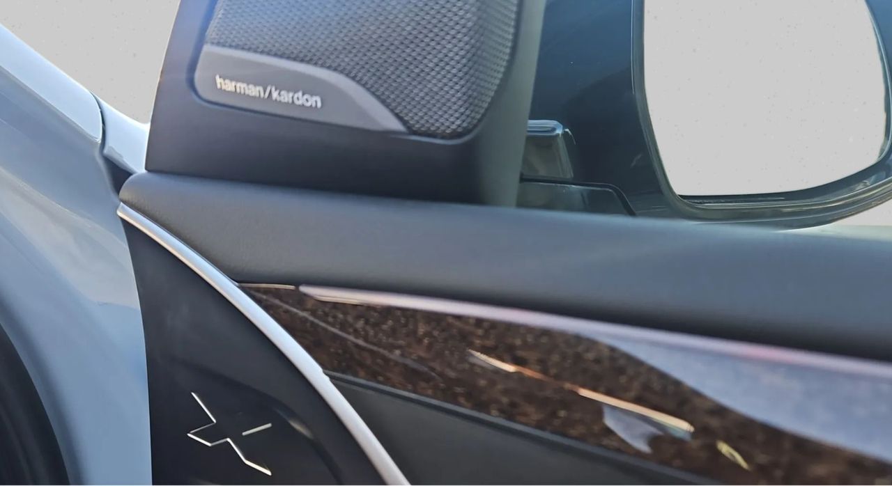 Zunanja slika - BMW X4 - serija : xDrive30d  AT - 17