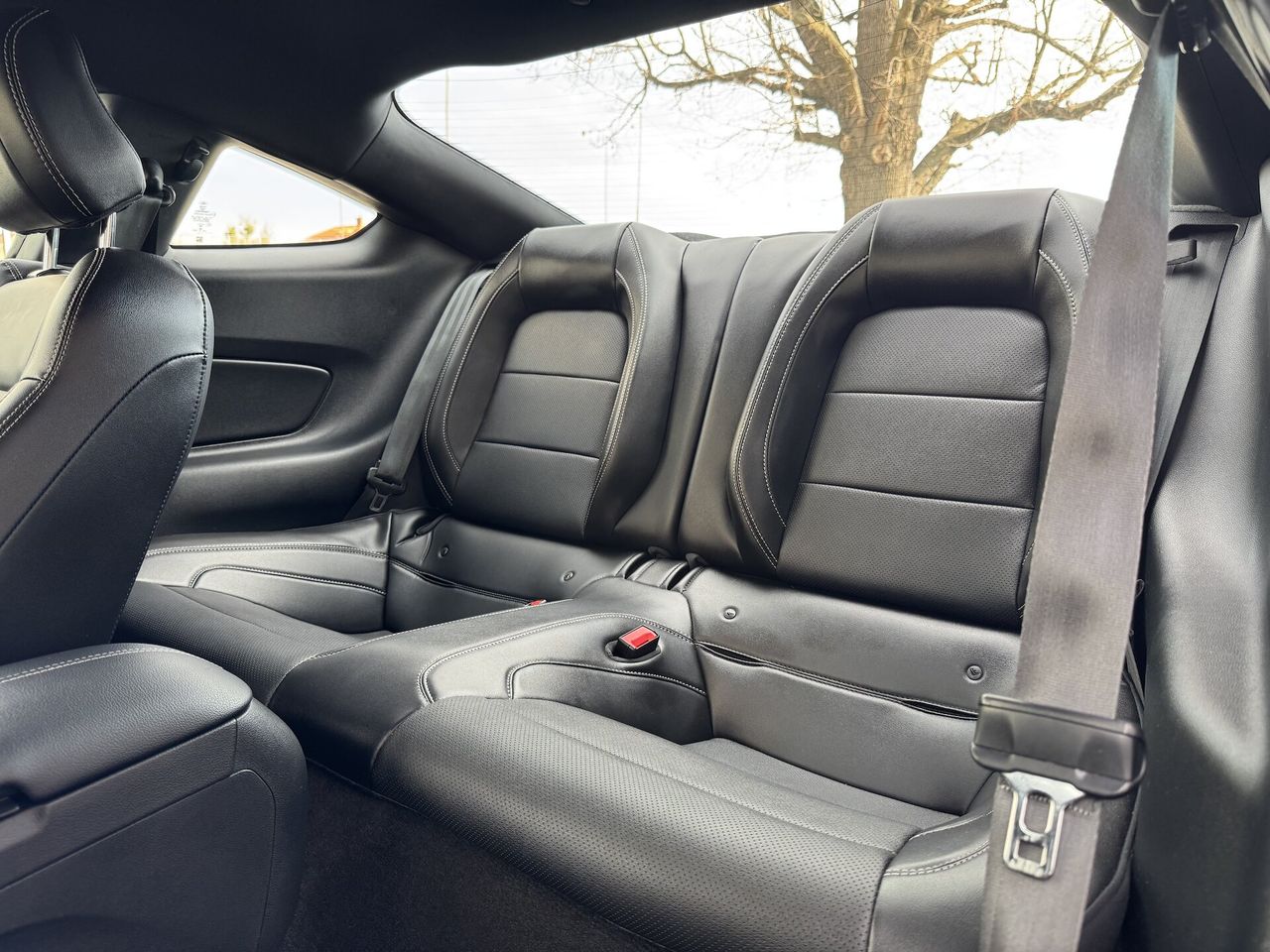 Zunanja slika - Ford Mustang - 2.3 EcoBoost 290KM AVT A10 SLO AKTIVNI TEMP. NAVI - 10