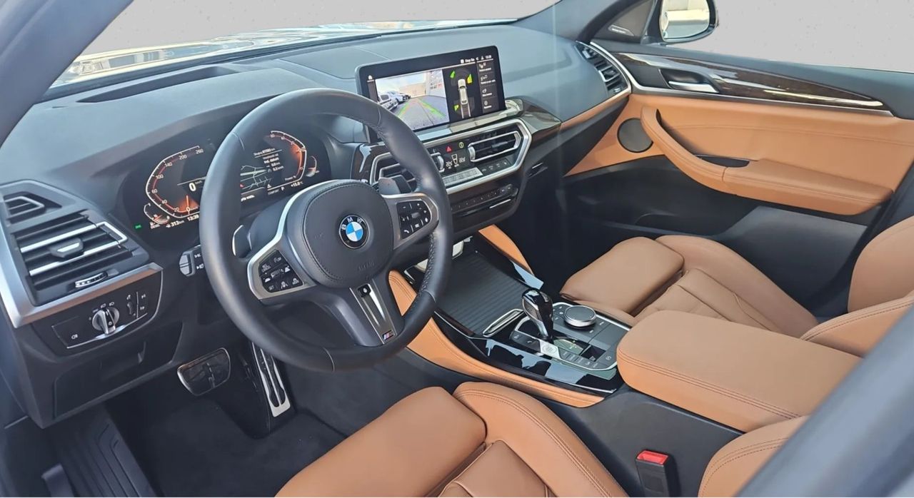 Zunanja slika - BMW X4 - serija : xDrive30d  AT - 10