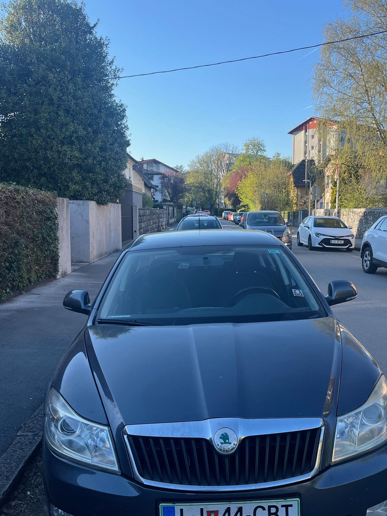 Zunanja slika - Škoda Octavia - buissnes - 2