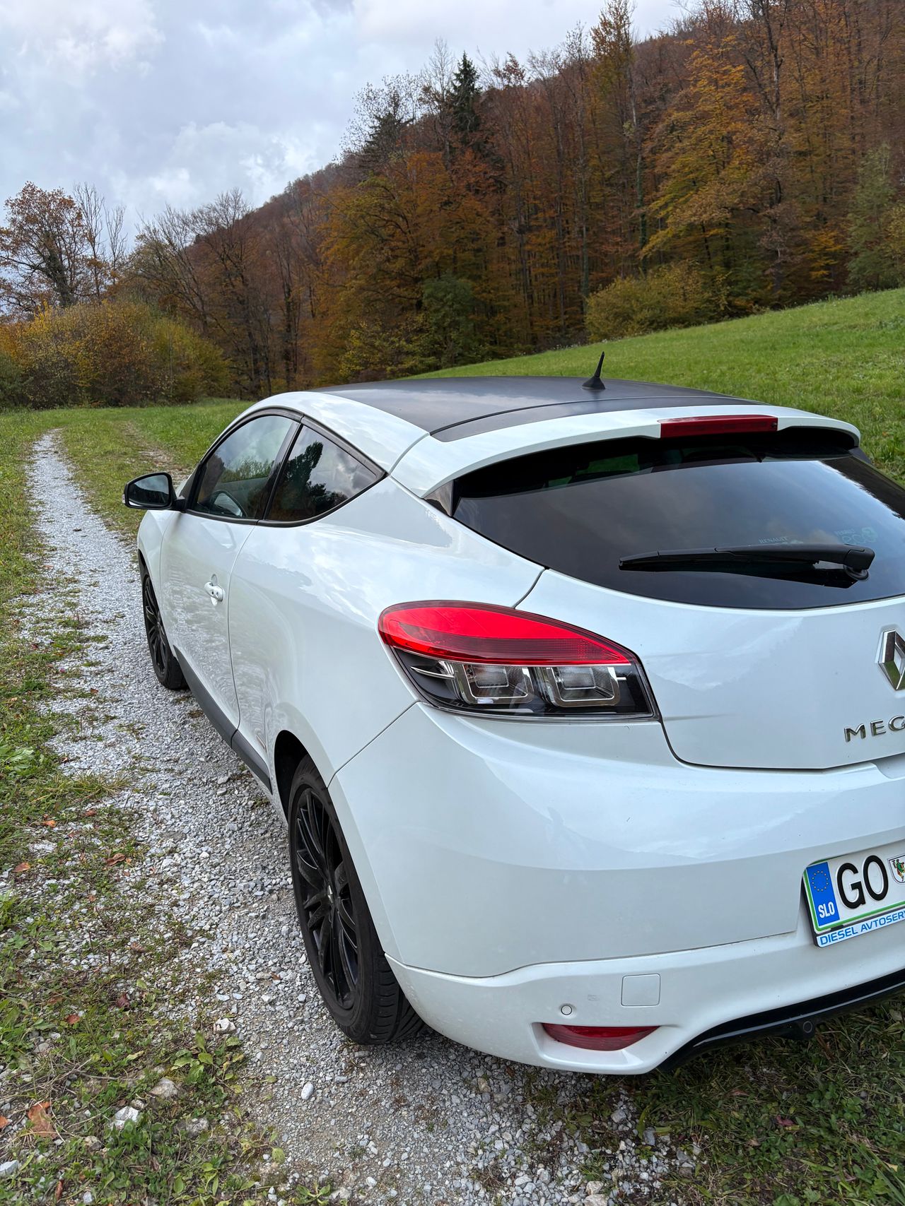 Zunanja slika - Renault Mégane - Coupé 1,9 dCi Monaco GP - 1