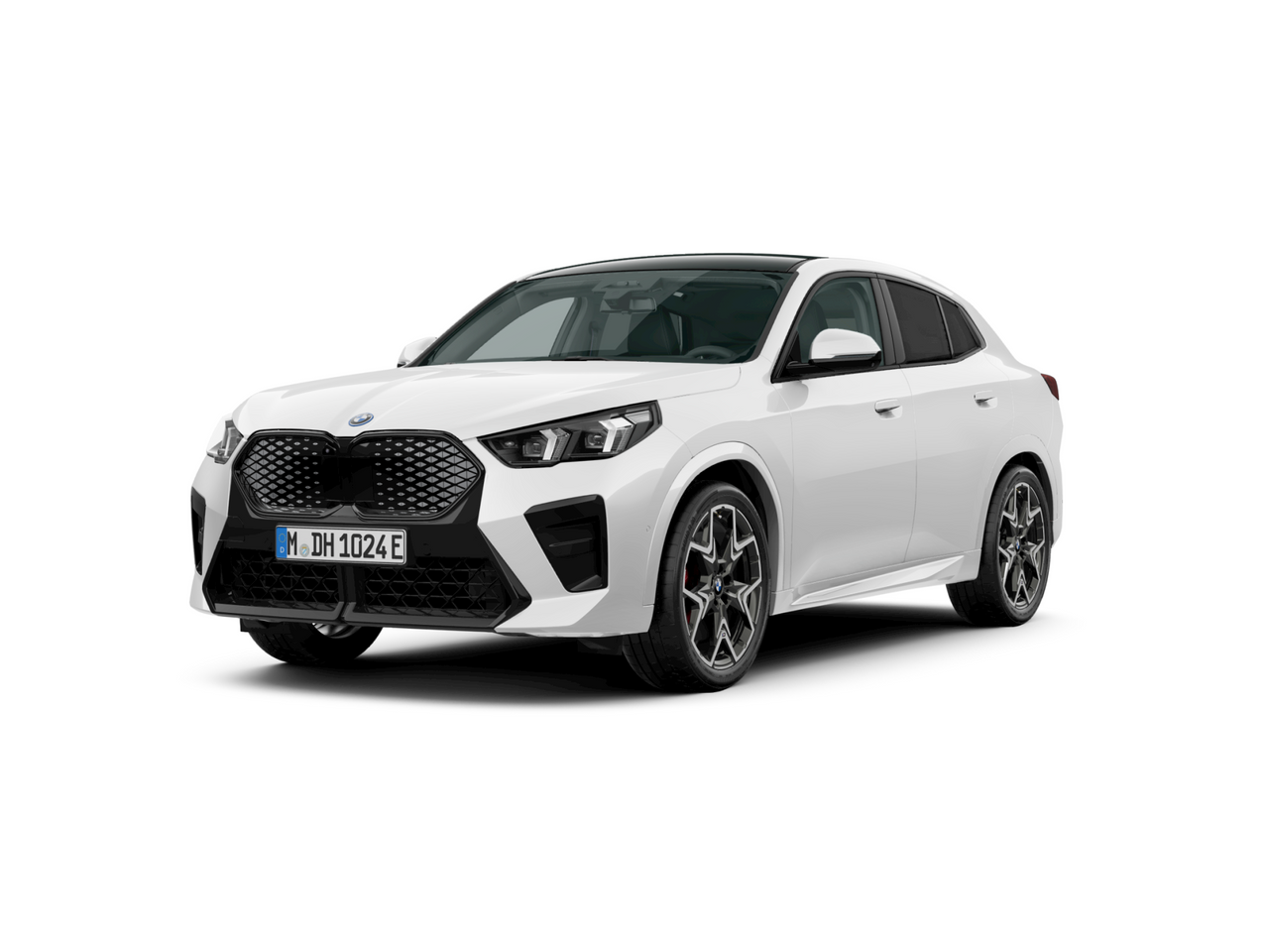 Zunanja slika - BMW iX - 2 xDrive30 - 1