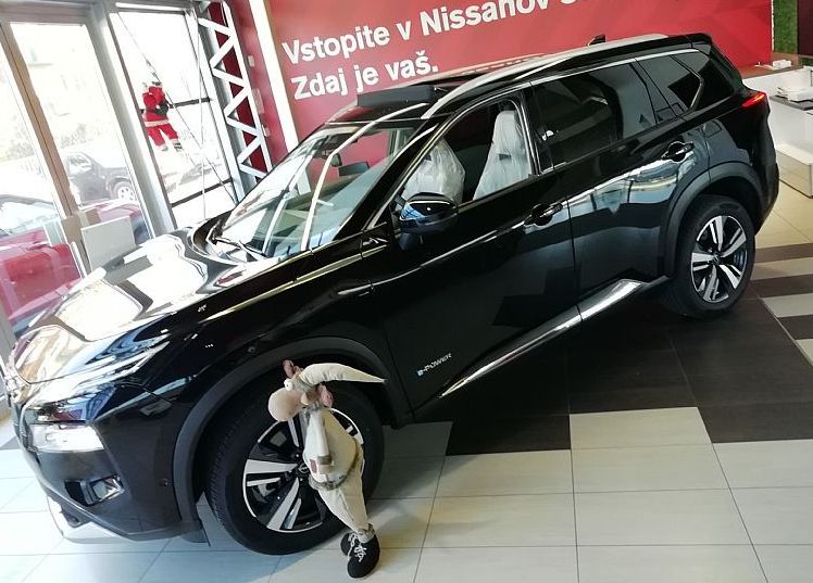 Zunanja slika - Nissan X-Trail - 1.5 E-4ORCE 213 TEKNA 4WD - 2