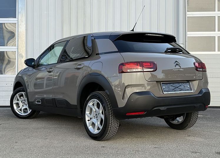 Zunanja slika - Citroën C4 Cactus - Shine PureTech 110 SLOVENSKI - 6