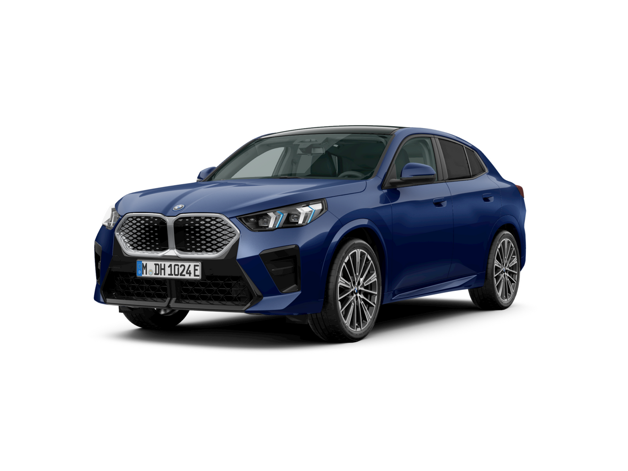 Zunanja slika - BMW iX - 2 xDrive30 - 1