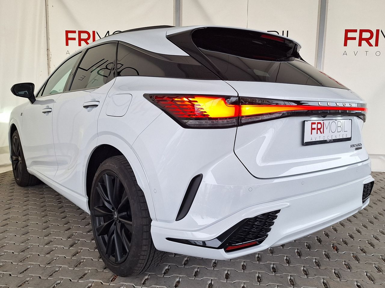 Zunanja slika - Lexus RX - RX - 8