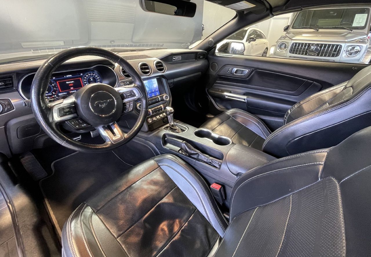 Zunanja slika - Ford Mustang - 5.0-V8-GT-HLAJENJE SED-MEMORY-USNJE-RADAR-LED-20C - 9