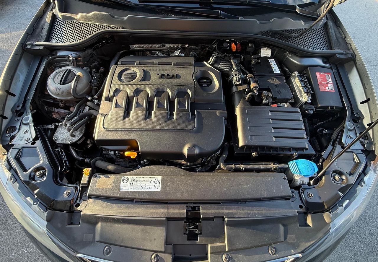 Zunanja slika - Seat Leon - ST 1.6 TDI Park-GretjeSED-AVTKLIMA-ALU-BREZ POLOGA - 19