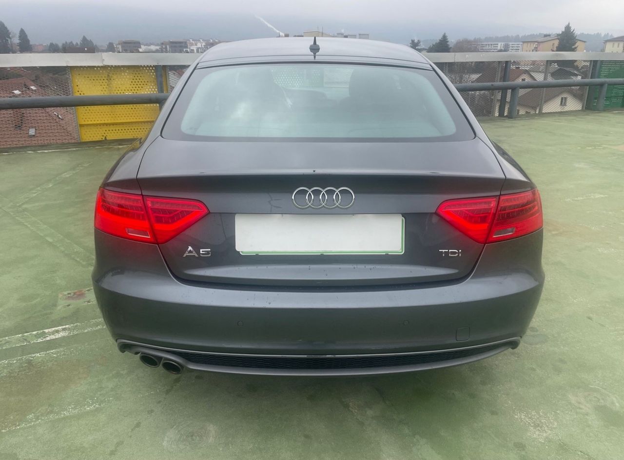 Zunanja slika - Audi A5 - Sportback  S-LINE 110 KW XSENON.PDC.NAVI.DELNO USNJE - 4