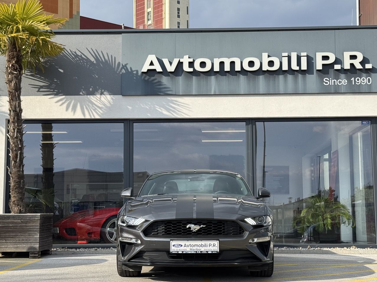 Zunanja slika - Ford Mustang - 2.3 EcoBoost 290KM AVT A10 SLO AKTIVNI TEMP. NAVI - 2