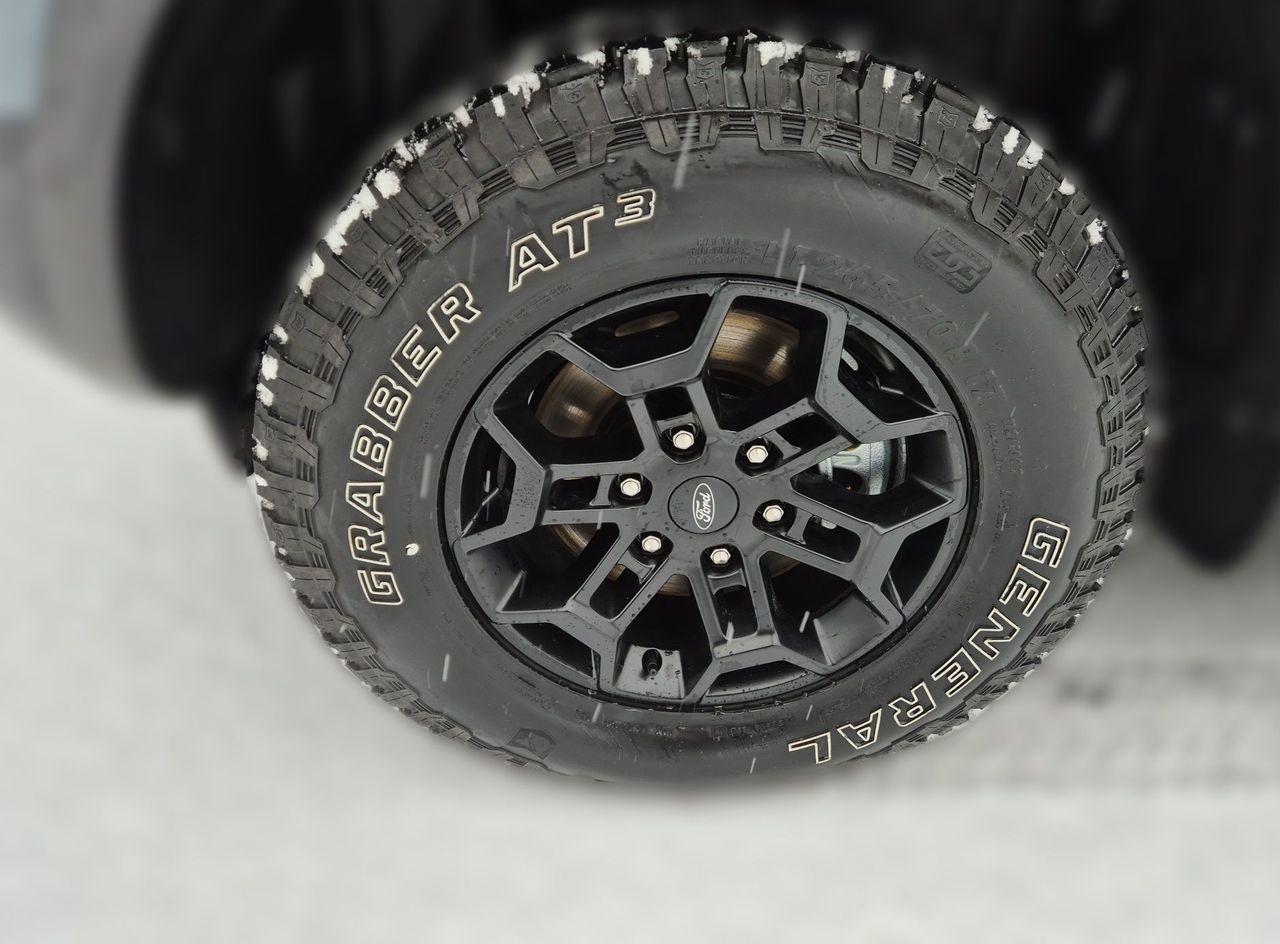 Zunanja slika - Ford Ranger - TREMOR 2.0 EcoBlue 205 KM A10 DC e-4WD - 8