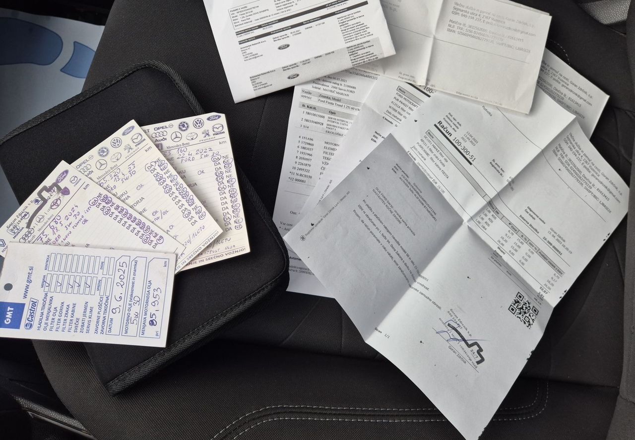 Zunanja slika - Ford Fiesta - TREND 1.25 82PS M5-SLO-2.LAST-VK-VELIK SERVIS - 17