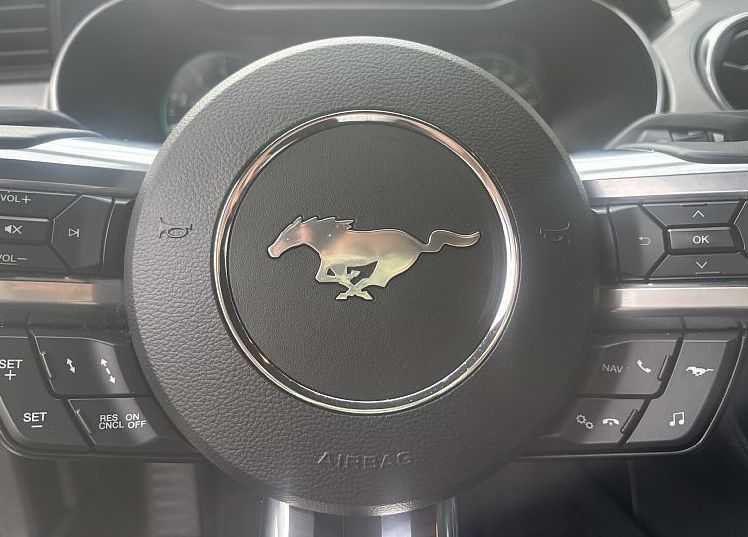 Zunanja slika - Ford Mustang - GT V8 - 11