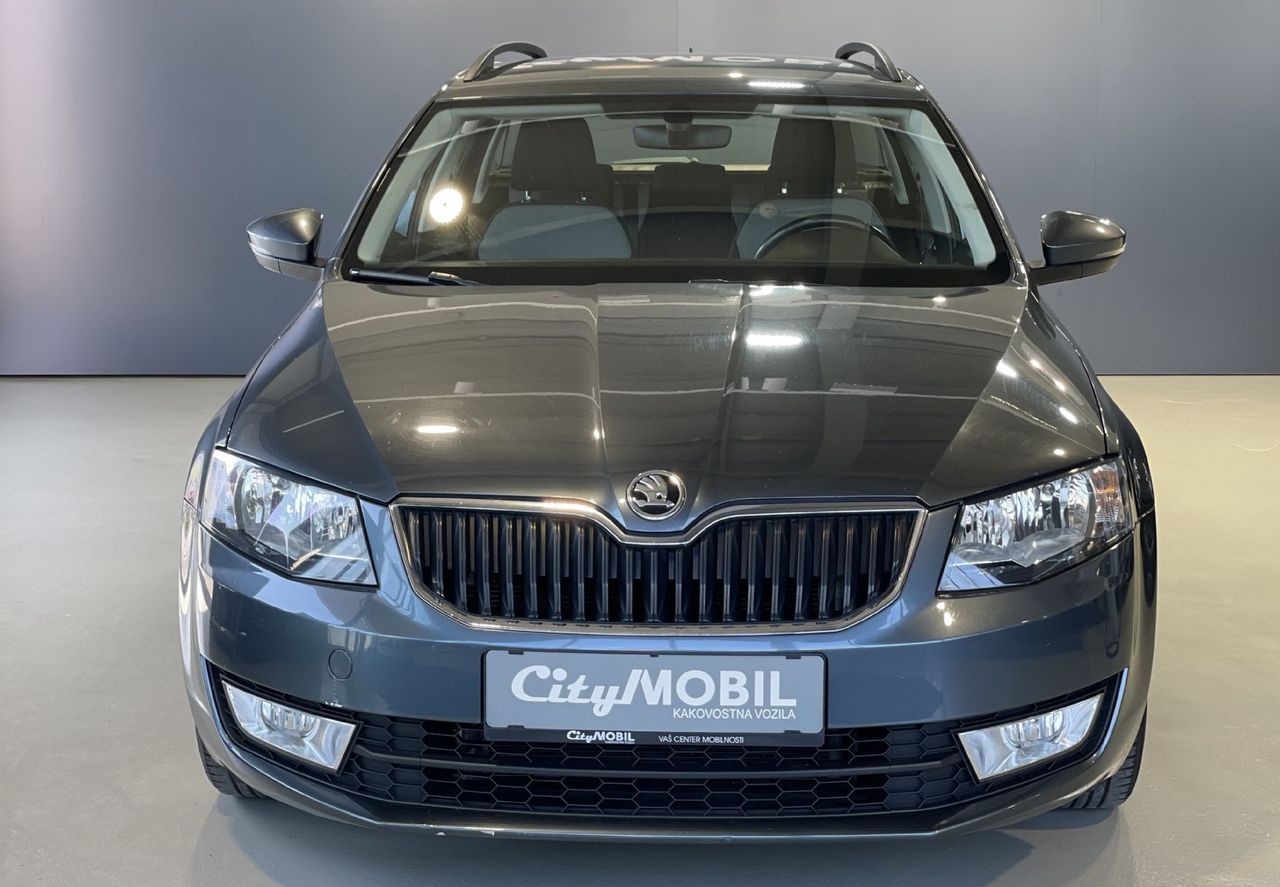 Zunanja slika - Škoda Octavia - VELIK SERVIS-NAVIGACIJA-TEMPOMAT-PDC-ALU-AVT.KLIMA - 2