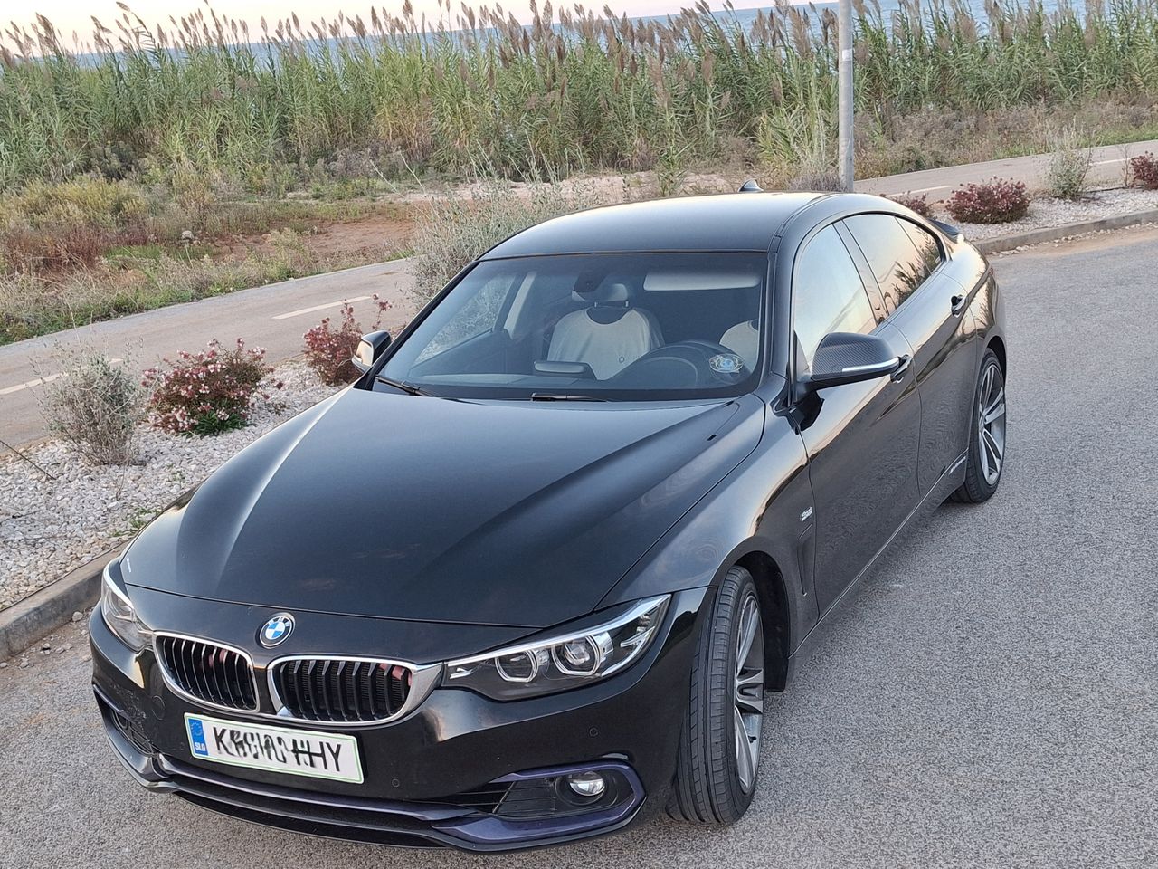 Zunanja slika - BMW Serija 4 - 420i Gran Coupé - 9