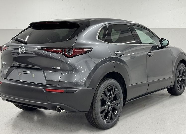 Zunanja slika - Mazda CX-30 - HOMURA - 5