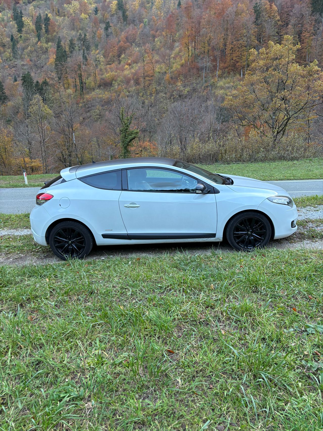 Zunanja slika - Renault Mégane - Coupé 1,9 dCi Monaco GP - 2