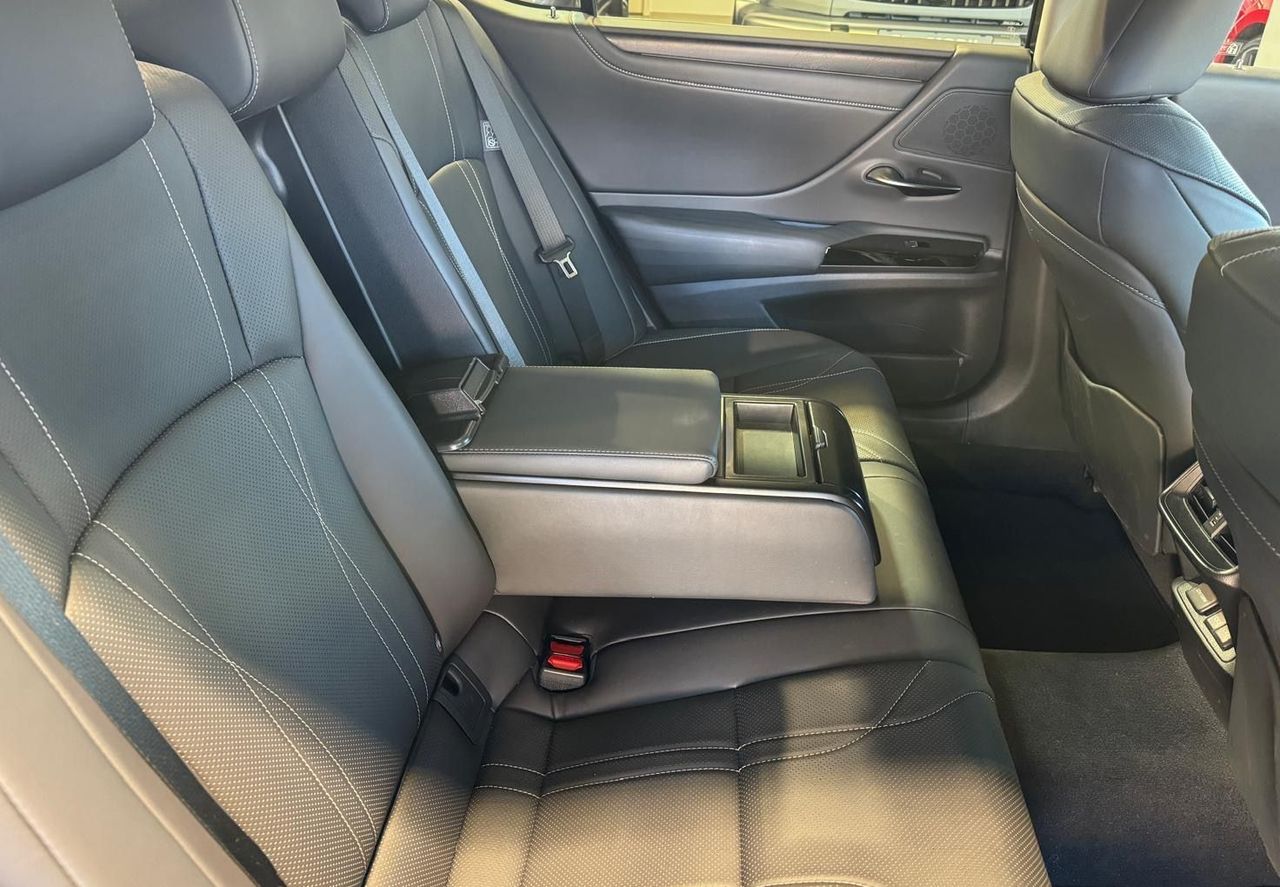 Zunanja slika - Lexus ES - 300H-EXECUTIVE-RADAR-HEADUP-MEMORY-USNJE-HLAJ.SED - 17