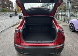 Zunanja slika - Mazda CX-30 - 2.5 G140 HOMURA - 10 - Predogledna slika