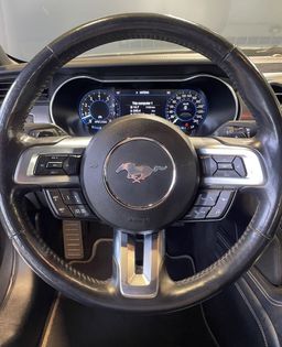 Zunanja slika - Ford Mustang - 5.0-V8-GT-HLAJENJE SED-MEMORY-USNJE-RADAR-LED-20C - 12 - Predogledna slika