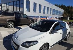 Zunanja slika - Renault Mégane - Megane Dynamique 1.6 16V LEPA KOMBINACIJA VOZILA - 4 - Predogledna slika