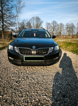 Zunanja slika - Škoda Octavia - Combi 2,0 TDI Family - 3 - Predogledna slika