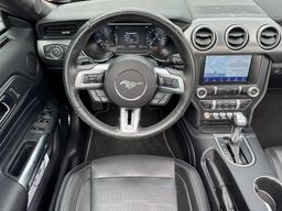 Zunanja slika - Ford Mustang - 5.0 V8 GT AVT CABRIO 449KM IZVEDBA 55 LET A - 18 - Predogledna slika