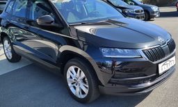 Zunanja slika - Škoda Karoq - Style 2.0 TDI DSG - 9 - Predogledna slika