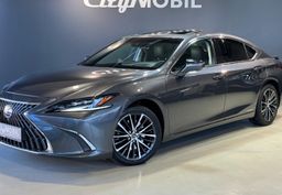 Zunanja slika - Lexus ES - 300H-EXECUTIVE-RADAR-HEADUP-MEMORY-USNJE-HLAJ.SED - 1 - Predogledna slika