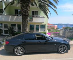 Zunanja slika - BMW Serija 4 - 420i Gran Coupé - 19 - Predogledna slika