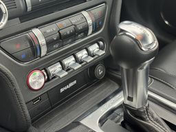 Zunanja slika - Ford Mustang - 2.3 EcoBoost 290KM AVT A10 SLO AKTIVNI TEMP. NAVI - 17 - Predogledna slika