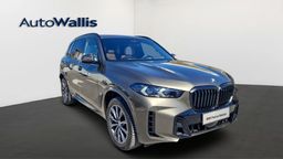 Zunanja slika - BMW X5 - xDrive30d - 11 - Predogledna slika
