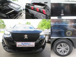 Zunanja slika - Peugeot 2008 - 2008 - 6 - Predogledna slika