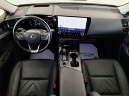 Zunanja slika - Lexus NX - 350h AWD Executive•KAM360•AMBIENT•HEAD-UP•MEMORY• - 4 - Predogledna slika