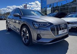 Zunanja slika - Audi e-tron - 55 quattro advanced RADAR VIRTUAL MATRIX AIR SUS. - 1 - Predogledna slika